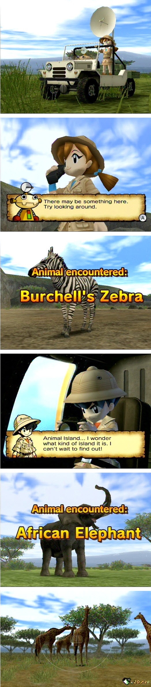 動物王國：野生動物探索