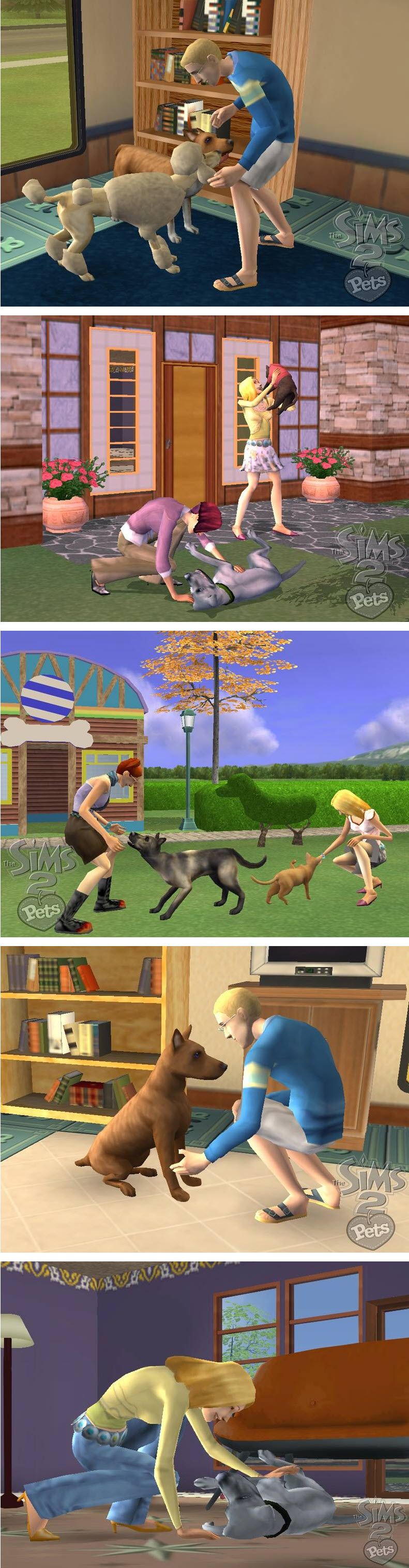 市民2：寵物當家