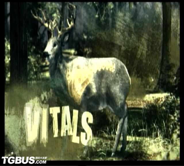 坎貝拉傳奇冒險