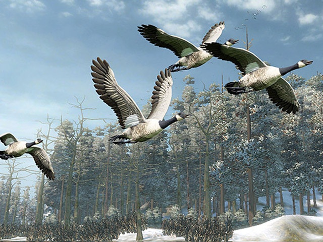 坎貝拉傳奇冒險