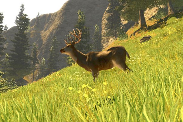 Cabelas Trophy Bucks